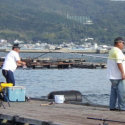 淡路じゃのひれフィッシングパーク 釣果