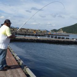 淡路じゃのひれフィッシングパーク 釣果