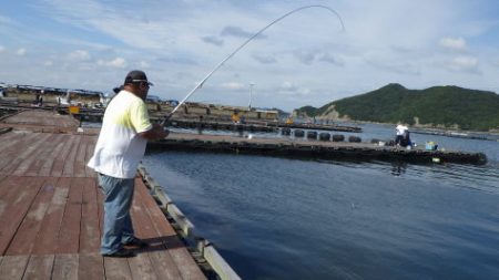 淡路じゃのひれフィッシングパーク 釣果