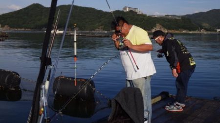淡路じゃのひれフィッシングパーク 釣果