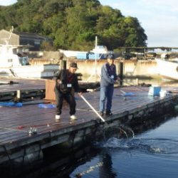 淡路じゃのひれフィッシングパーク 釣果