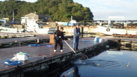 淡路じゃのひれフィッシングパーク 釣果