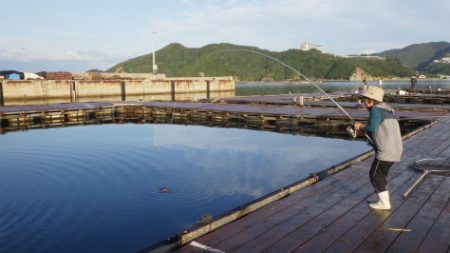 淡路じゃのひれフィッシングパーク 釣果