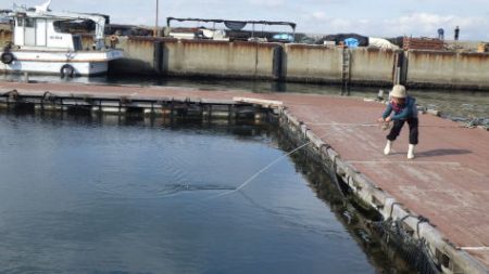 淡路じゃのひれフィッシングパーク 釣果