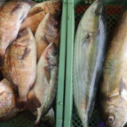 淡路じゃのひれフィッシングパーク 釣果