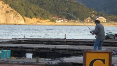 淡路じゃのひれフィッシングパーク 釣果