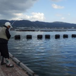淡路じゃのひれフィッシングパーク 釣果