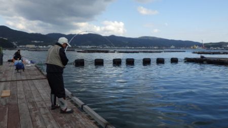 淡路じゃのひれフィッシングパーク 釣果