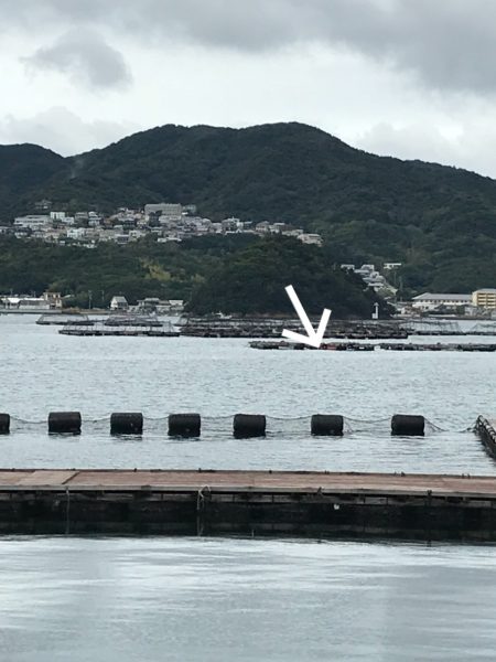 淡路じゃのひれフィッシングパーク 釣果