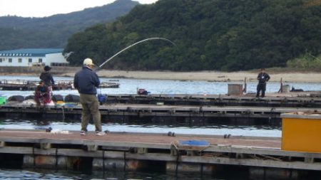 淡路じゃのひれフィッシングパーク 釣果
