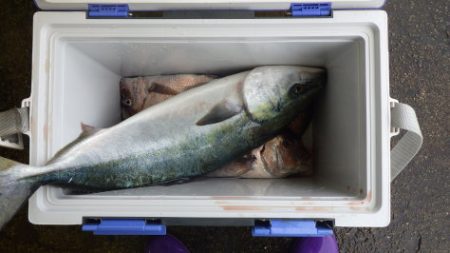 淡路じゃのひれフィッシングパーク 釣果