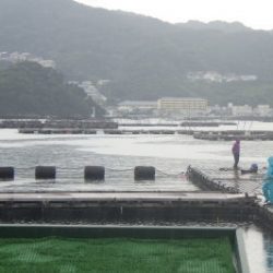 淡路じゃのひれフィッシングパーク 釣果