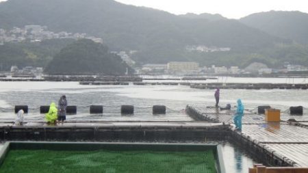 淡路じゃのひれフィッシングパーク 釣果