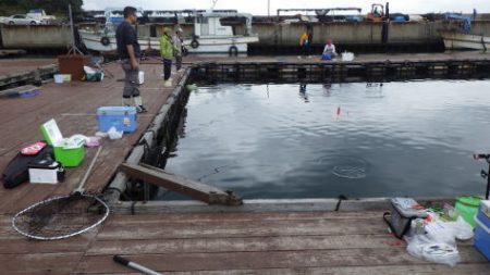 淡路じゃのひれフィッシングパーク 釣果