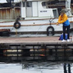 淡路じゃのひれフィッシングパーク 釣果