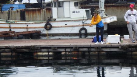 淡路じゃのひれフィッシングパーク 釣果