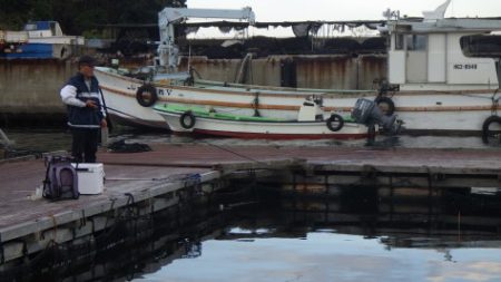 淡路じゃのひれフィッシングパーク 釣果