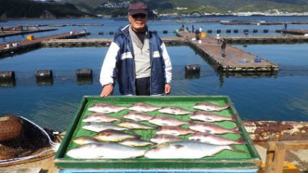 淡路じゃのひれフィッシングパーク 釣果