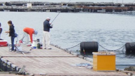 淡路じゃのひれフィッシングパーク 釣果
