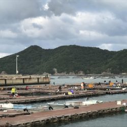 淡路じゃのひれフィッシングパーク 釣果