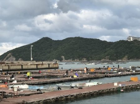 淡路じゃのひれフィッシングパーク 釣果