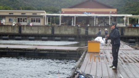 淡路じゃのひれフィッシングパーク 釣果