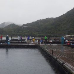 淡路じゃのひれフィッシングパーク 釣果