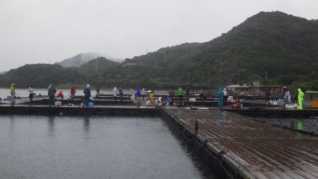 淡路じゃのひれフィッシングパーク 釣果