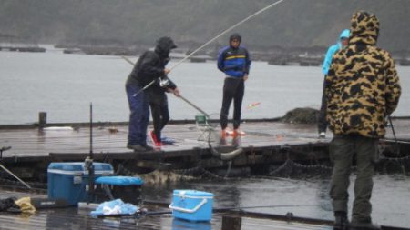 淡路じゃのひれフィッシングパーク 釣果
