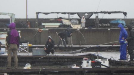 淡路じゃのひれフィッシングパーク 釣果