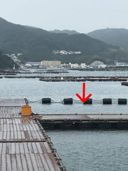 淡路じゃのひれフィッシングパーク 釣果