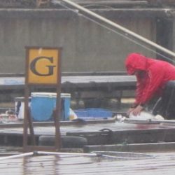 淡路じゃのひれフィッシングパーク 釣果