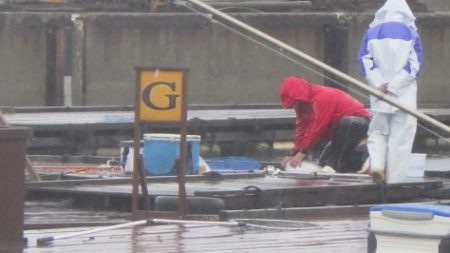 淡路じゃのひれフィッシングパーク 釣果