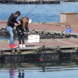 淡路じゃのひれフィッシングパーク 釣果