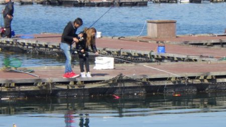 淡路じゃのひれフィッシングパーク 釣果