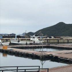 淡路じゃのひれフィッシングパーク 釣果