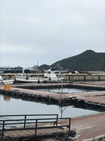 淡路じゃのひれフィッシングパーク 釣果