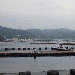 淡路じゃのひれフィッシングパーク 釣果