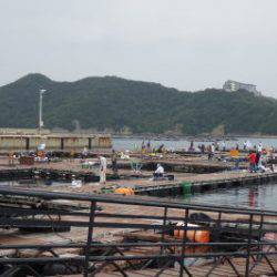 淡路じゃのひれフィッシングパーク 釣果