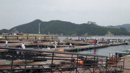 淡路じゃのひれフィッシングパーク 釣果