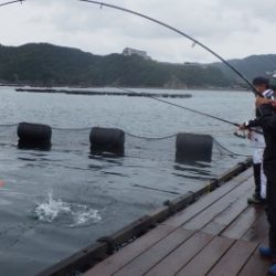 淡路じゃのひれフィッシングパーク 釣果