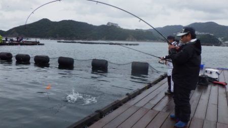 淡路じゃのひれフィッシングパーク 釣果