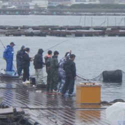 淡路じゃのひれフィッシングパーク 釣果