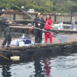 淡路じゃのひれフィッシングパーク 釣果
