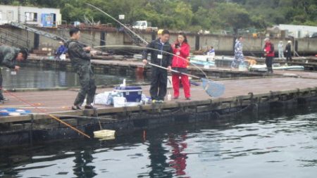 淡路じゃのひれフィッシングパーク 釣果