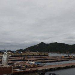 淡路じゃのひれフィッシングパーク 釣果