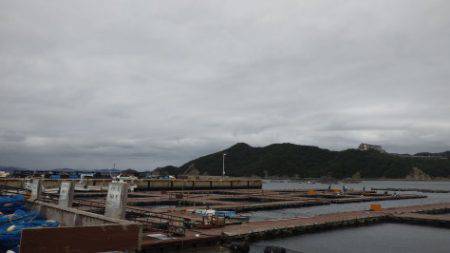 淡路じゃのひれフィッシングパーク 釣果