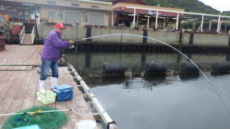 淡路じゃのひれフィッシングパーク 釣果
