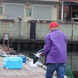 淡路じゃのひれフィッシングパーク 釣果