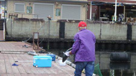 淡路じゃのひれフィッシングパーク 釣果